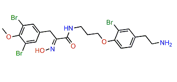 14-Debromoprearaplysillin I